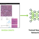 GPU-Accelerated Computer Vision with OpenCV and CUDA