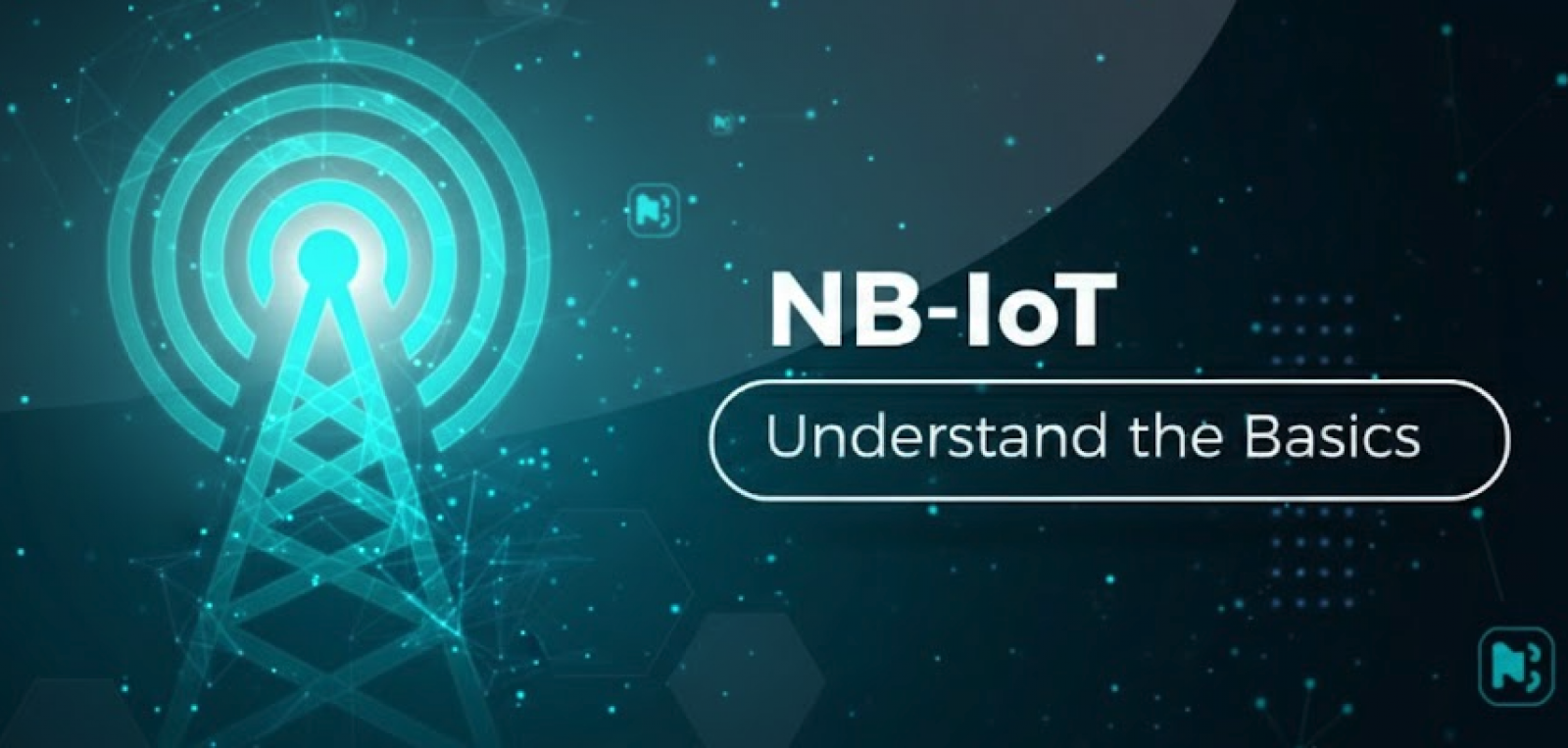 NB-IoT: Principles and Architecture