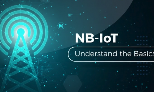 NB-IoT: Principles and Architecture